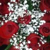 Flower Shop-Petals &amp; Blooms-Joint Base Lewis McChord- roses