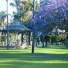 Spreckels Park Coronado-cherry blossom