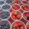 &#039; Market-berries