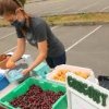 Bremerton Community Farmers Market-fruits