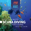 Scuba Diving in Rota, Spain