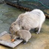 biopark01