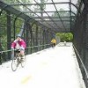 Bethesda Trolley Trail-bridge