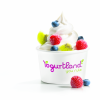 yogurtland4