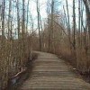 seeley lake park lakewood wa-running trail
