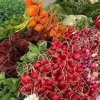 Lake Forest Park Farmers Market-radish
