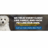 Animal Care in Everett, Washington