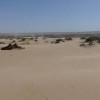 Mescalero Sands North Dune OHV Area-sands