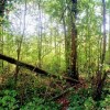 seeley lake park lakewood wa- trail