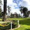 Spreckels Park Coronado-flower