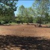 Silverdale Dog Park-park