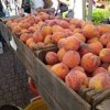 Arlington Farmers Market Washington States- peache