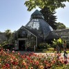 Botanical Conservatory Park in Tacoma, Washington State
