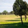 Rierson Park Clovis-trees