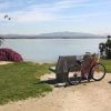 Grand Caribe Shoreline Park-bench