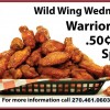 Wild Wings Banner in Kentucky, Fort Campbell