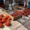 Ellensburg Farmers Market-tomato