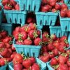 Pike Place Market-strawberry