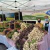 sedro-woolley farmers market-foothills farm