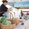 Burnet County Farmers Market-basket