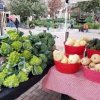 Pearl Farmers Market-squash