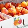 &#039;s Market-peach