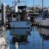 Marina-2 in Everett, Washington