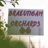 Braeutigam Orchards Scott AFB-sign