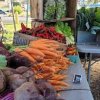 Cashmere Community Farmers Market-beets
