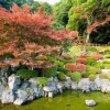 Kikko Park-3