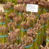 burien farmers market-asparagos