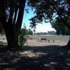 Off the Leash Dog Park- beale afb- bench