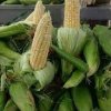 Harker Heights Farmers Market-corn