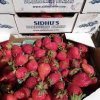 The Village Farmers Market Puyallup-berries