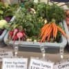 Hillyard Farmers Market-carrots sticks
