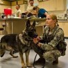 Veterinary Clinic in Tacoma, Washington State