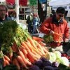 ballard farmers market-vegatable