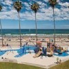 La Jolla Shores-palms