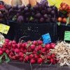 Roslyn Farmers Market-radish
