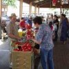 Pasco Farmers Market-tomato