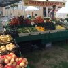 Chimacum Farmers Market-potato