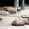 Biopark06