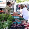 Bellevue Farmers Market-cabbage