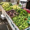Lake City Farmers Market Wa-chili