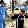 Activity in CDC at Atsugi, Japan