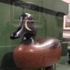 ATLANTIC WILDFOWL HERITAGE MUSEUM-bird4