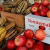 Magnolia Farmers Market-apple