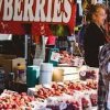 Valley Mall Farmers Market Wa-strawberry
