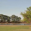 Ned Houk Memorial Park Clovis Nm-lake