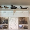 ATLANTIC WILDFOWL HERITAGE MUSEUM-bird3
